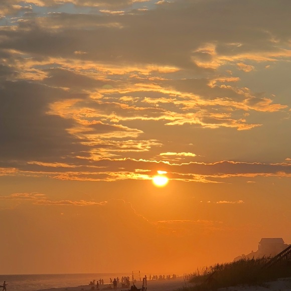 Meet your Posher, Abbey - Picture 1 of 1